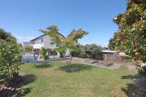Photo of property in 156 Denbigh Street, Feilding, 4702