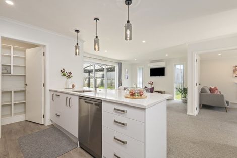 Photo of property in 13 Mediterranean Grove, Fitzherbert, Palmerston North, 4410