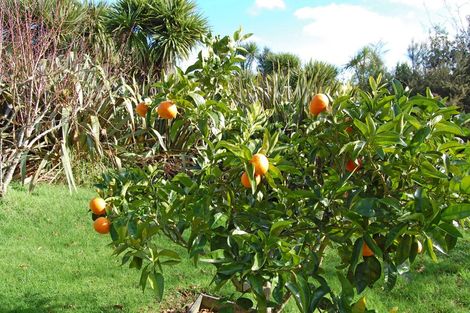 Photo of property in 210a Pukenui Road, Kaiwaka, 0573