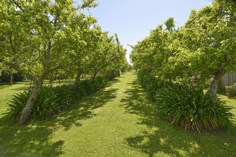 Photo of property in 145 Park Road, Carterton, 5713