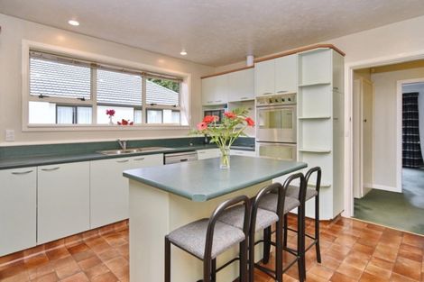 Photo of property in 9 Mcsaveneys Road, Marshland, Christchurch, 8051