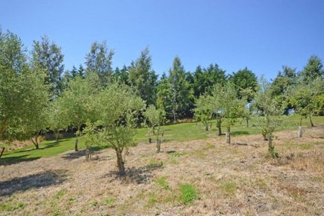 Photo of property in 56 Daniels Road, Normanby, Timaru, 7971