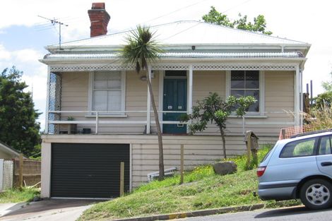 Photo of property in 29 Buchanan Street, Kingsland, Auckland, 1021