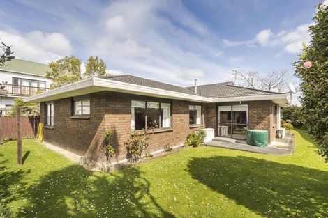 Photo of property in 373a Ruahine Street, Terrace End, Palmerston North, 4410