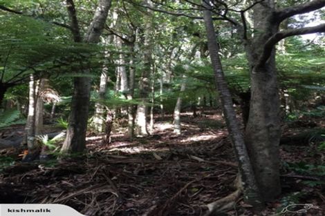 Photo of property in 16 Waikarekare Lane, Karekare, Auckland, 0772