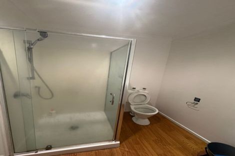 Photo of property in 15b Korimako Street, Frankton, Hamilton, 3204