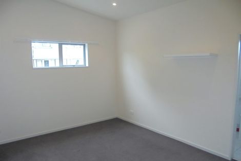 Photo of property in 114a Coromandel Street, Newtown, Wellington, 6021