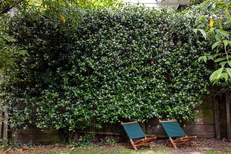 Photo of property in 104 Bassett Road, Remuera, Auckland, 1050