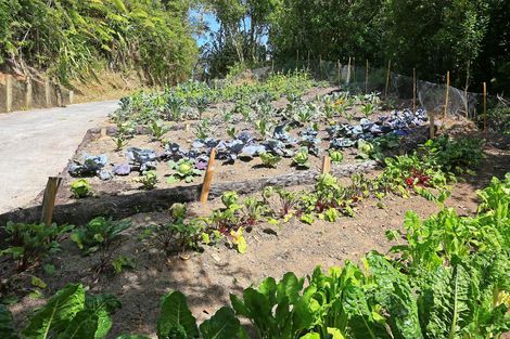 Photo of property in 166 Opanuku Road, Henderson Valley, Auckland, 0612