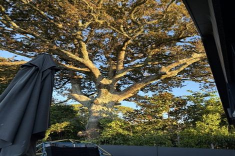 Photo of property in 427 Carrington Street, Upper Vogeltown, New Plymouth, 4310