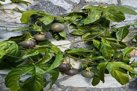 Photo of property in 191a Wilton Road, Wilton, Wellington, 6012