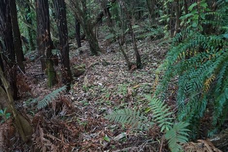 Photo of property in 5 Leith Crescent, Greymouth, 7805