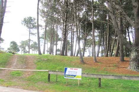 Photo of property in 802 Matarangi Drive, Matarangi, Whitianga, 3592