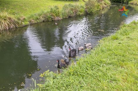 Photo of property in 143 Riverside Drive, Waiwhetu, Lower Hutt, 5010