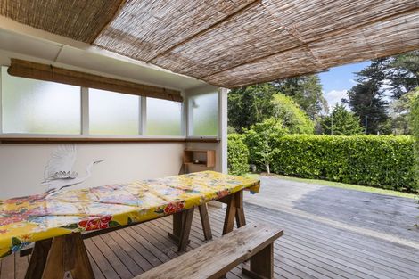 Photo of property in 67 Smythe Road, Henderson, Auckland, 0612