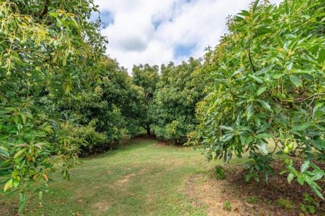 Photo of property in 69 Plummer Road, Whakamarama, Tauranga, 3179