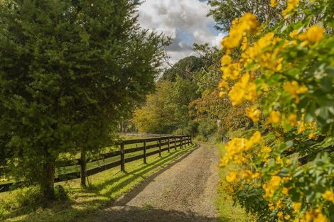 Photo of property in 555 Mill Creek Road, Kaimarama, Whitianga, 3591