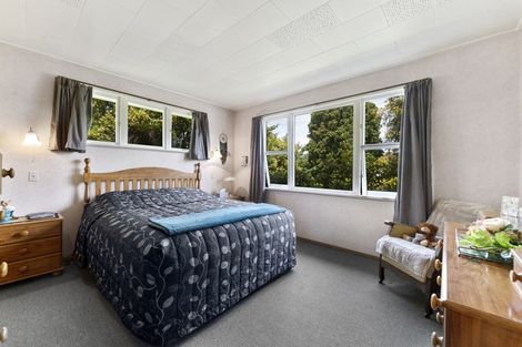 Photo of property in 47 Royal Terrace, Alexandra, 9320