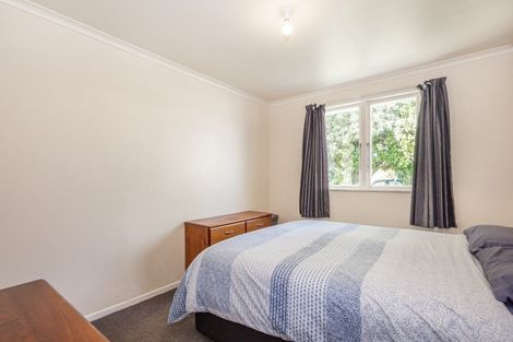 Photo of property in 233 Lumsden Place, Akina, Hastings, 4122