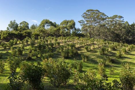 Photo of property in 12 Kaikatia Road, Pukenui, 0484