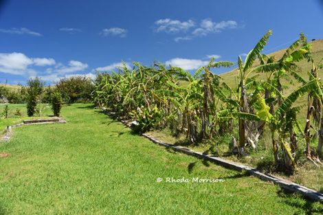 Photo of property in 354 Linton Road, Maungaturoto, 0583