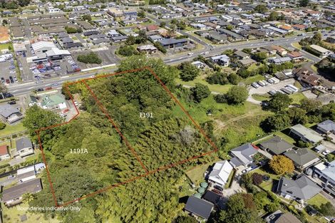 Photo of property in 1191 Cameron Road, Gate Pa, Tauranga, 3112