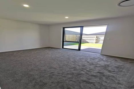 Photo of property in 17 Ensete Road, Wigram, Christchurch, 8025