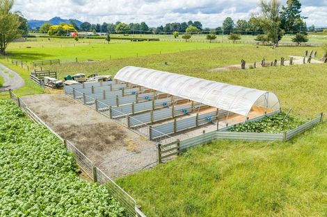 Photo of property in 737 Tauwhare Road, Tauwhare, Hamilton, 3287