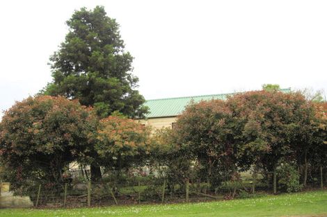 Photo of property in 37 Wellington Street, Opotiki, 3122