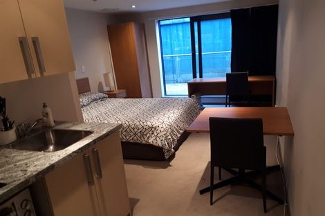 Photo of property in Dual Apartments, 108/142 Vivian Street, Te Aro, Wellington, 6011