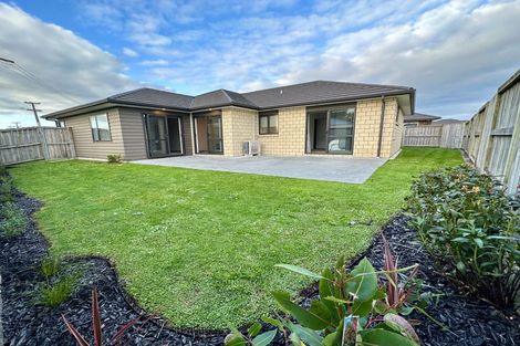 Photo of property in 147 Duke Street, Dinsdale, Hamilton, 3204