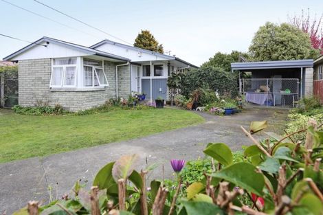 Photo of property in 417 Purser Place, Mahora, Hastings, 4120