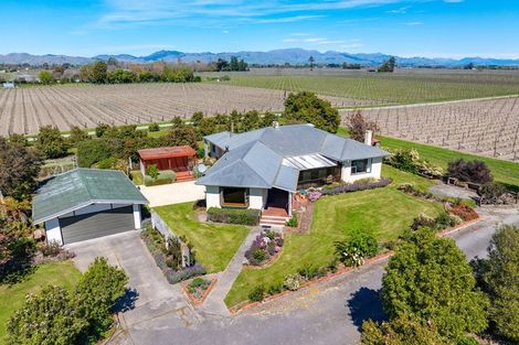 Photo of property in 189 Selmes Road, Rapaura, Blenheim, 7273