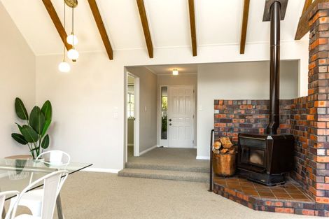 Photo of property in 225 Redwood Street, Witherlea, Blenheim, 7201