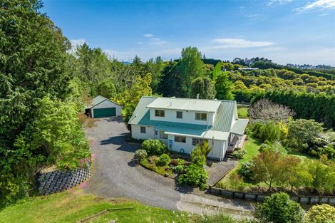 Photo of property in 39 Hot Springs Road, Tahawai, Katikati, 3178