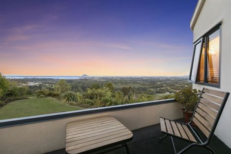 Photo of property in 17 Dawn View Place, Minden, Tauranga, 3176
