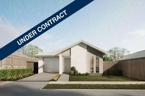 Photo of property in 25 Harp Street, Morrinsville, 3300