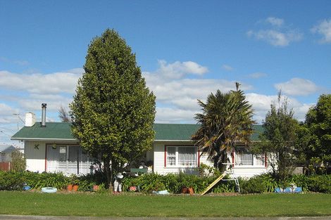 Photo of property in 26 Potaka Street, Marton, 4710