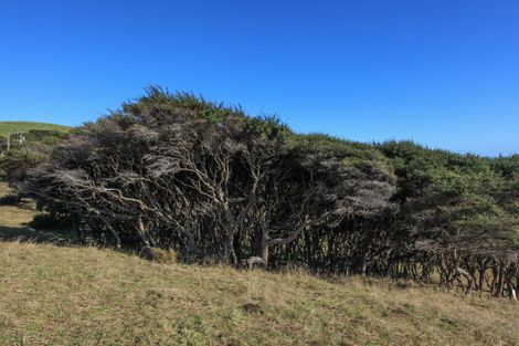 Photo of property in 1638 Whaanga Road, Raglan, 3296