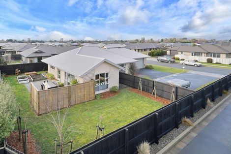 Photo of property in 50 Cassino Street, Rangiora, 7400