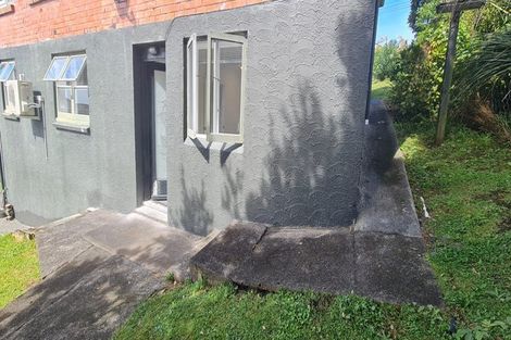 Photo of property in 44 Exmouth Road, Northcote, Auckland, 0627