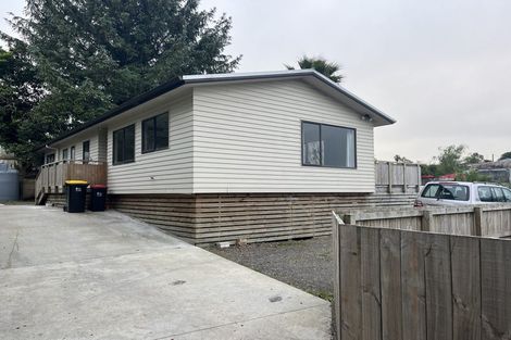 Photo of property in 91c Arapuni Street, Putaruru, 3411