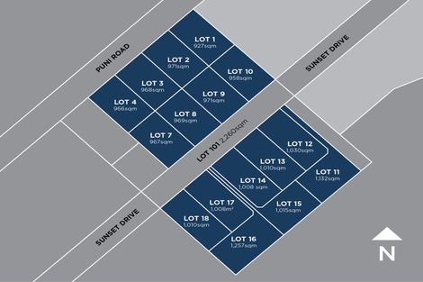 Photo of property in 60-64 Puni Road, Pukekohe, 2120