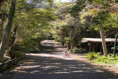 Photo of property in 91 Seaview Road, Piha, New Lynn, 0772