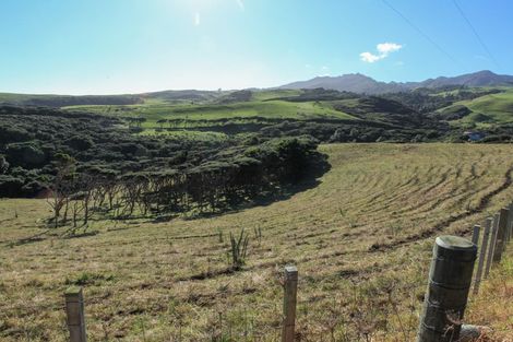 Photo of property in 1638 Whaanga Road, Raglan, 3296