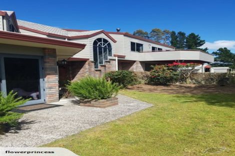 Photo of property in 491 Palmer Mill Road, Wairakei, Taupo, 3384