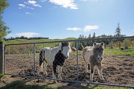 Photo of property in 23 Hewetson Road, Upper Moutere, 7175