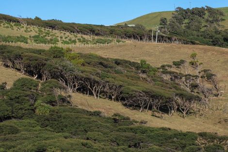 Photo of property in 1638 Whaanga Road, Raglan, 3296