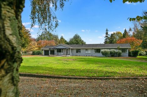 Photo of property in 66 Mill Road, Ohaupo, 3881