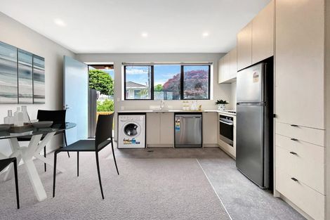 Photo of property in Aniva Terrace, 30 Ferguson Street, Newtown, Wellington, 6021